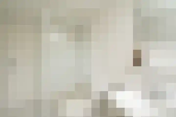 Paulinastraat 27 Den Haag thumbnail 27