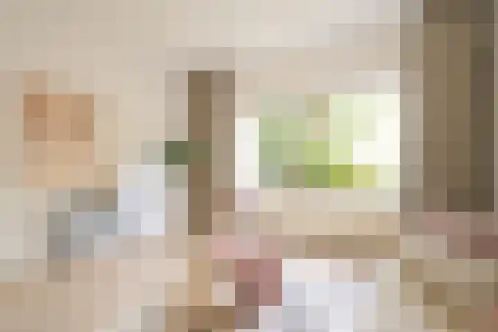 Paulinastraat 27 Den Haag thumbnail 4