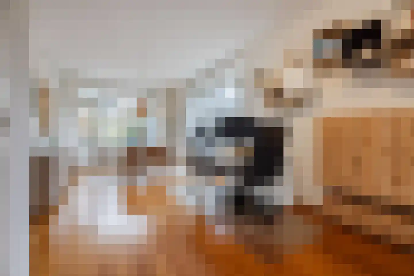 Paulinastraat 41 Den Haag thumbnail 13