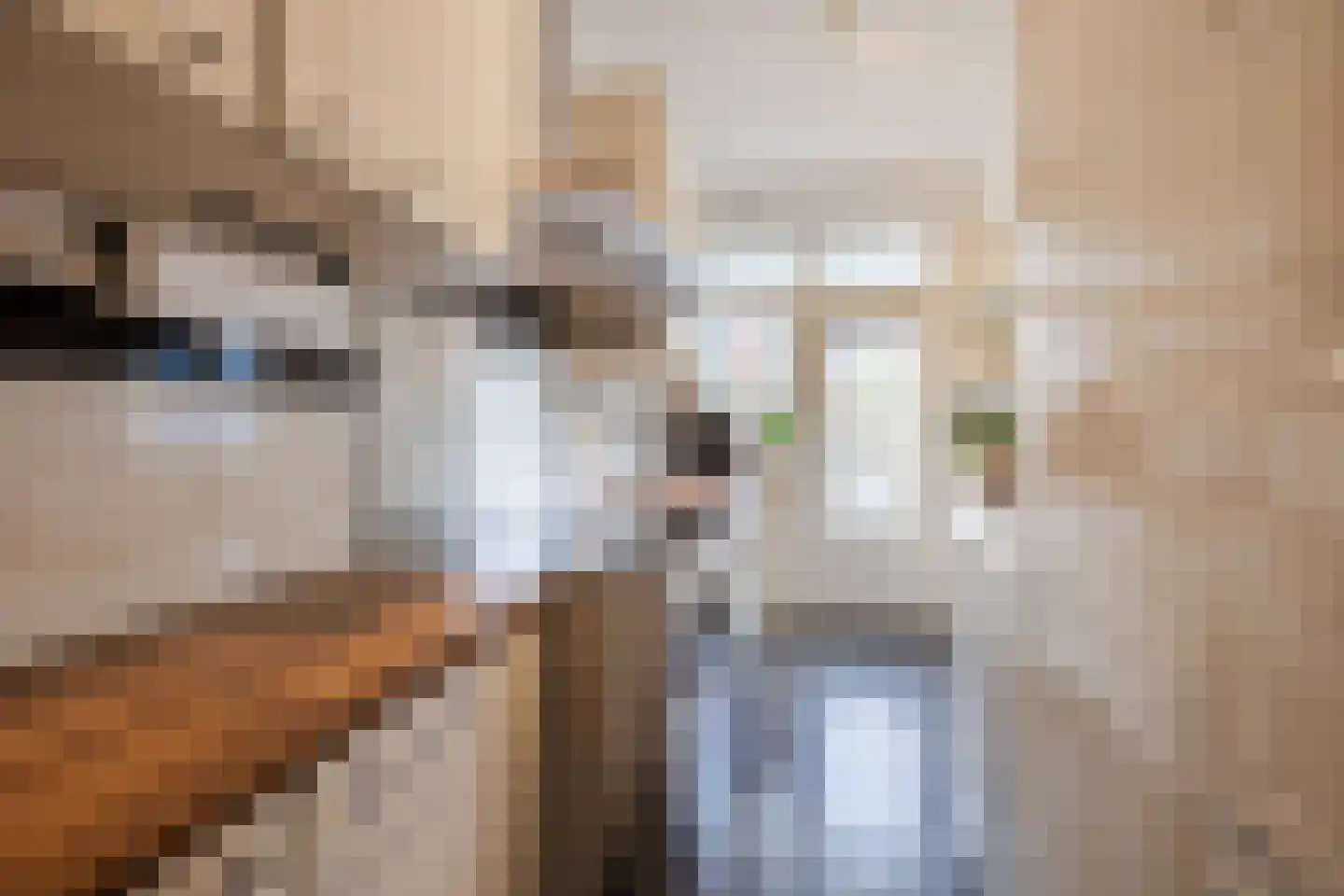 Paulinastraat 41 Den Haag thumbnail 18