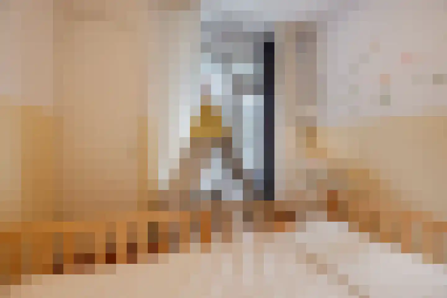 Paulinastraat 41 Den Haag thumbnail 33