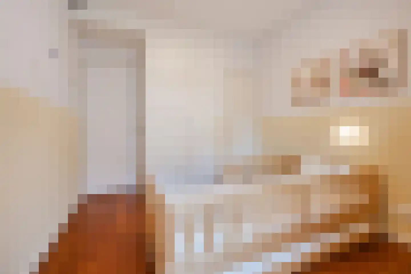 Paulinastraat 41 Den Haag thumbnail 34