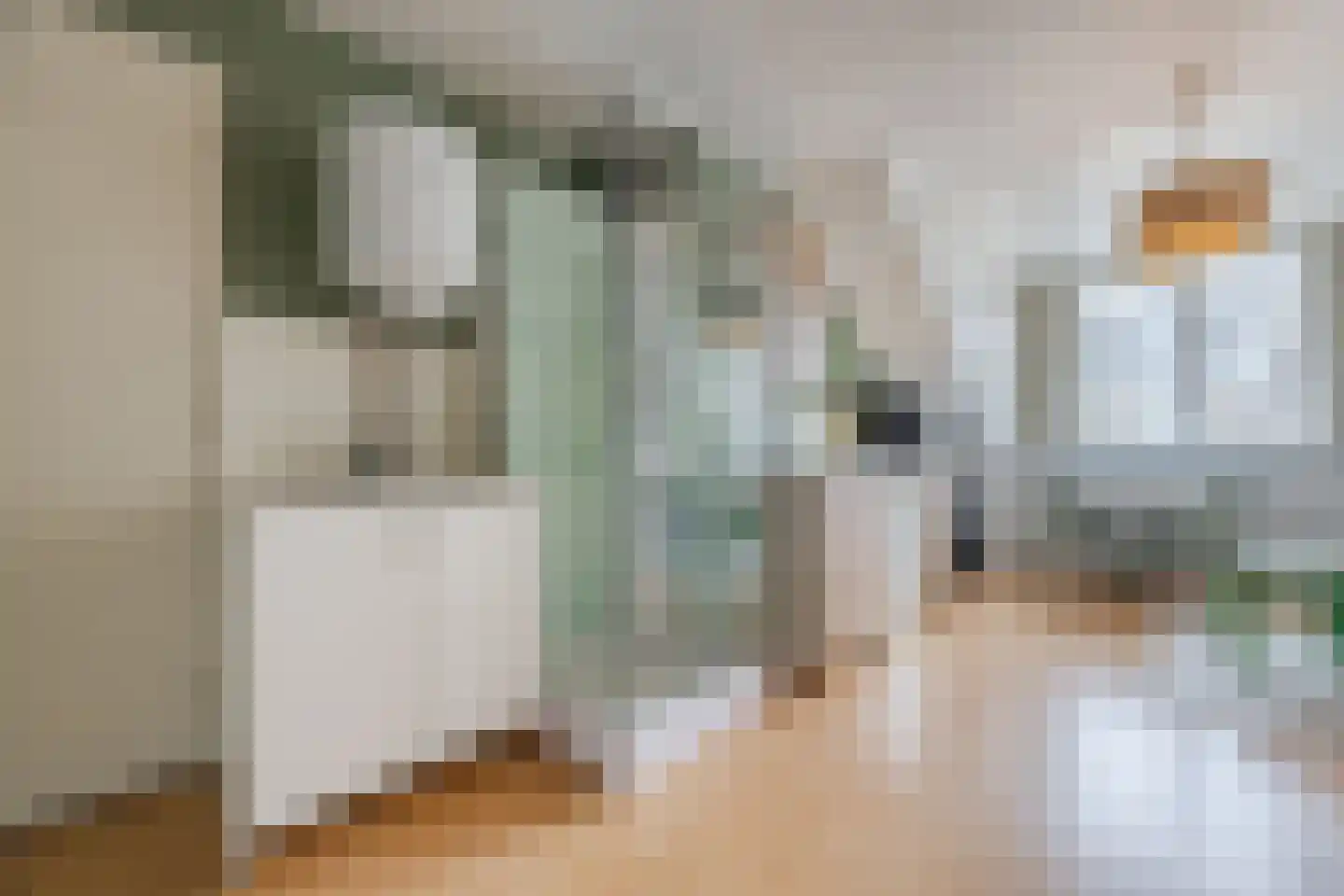 Paulinastraat 41 Den Haag thumbnail 39