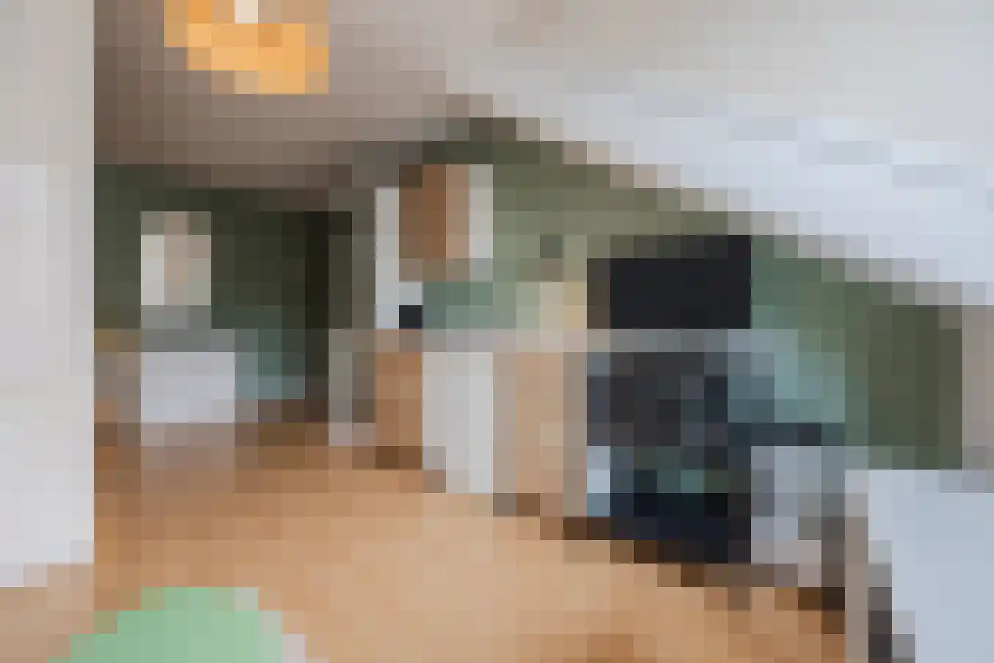 Paulinastraat 41 Den Haag thumbnail 42