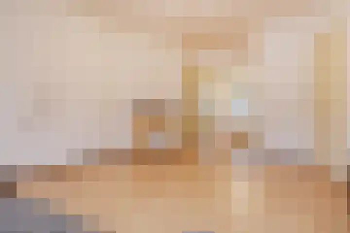 Paulinastraat 54 Den Haag thumbnail 13