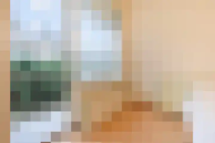 Paulinastraat 54 Den Haag thumbnail 18