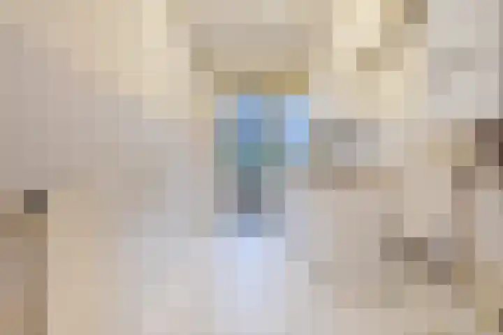 Paulinastraat 54 Den Haag thumbnail 22