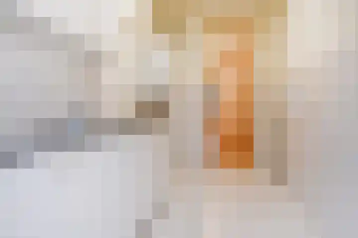 Paulinastraat 54 Den Haag thumbnail 25