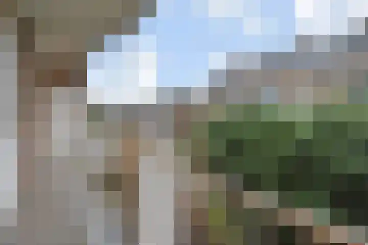 Paulinastraat 54 Den Haag thumbnail 33