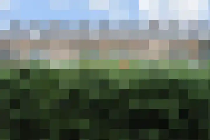 Paulinastraat 54 Den Haag thumbnail 44