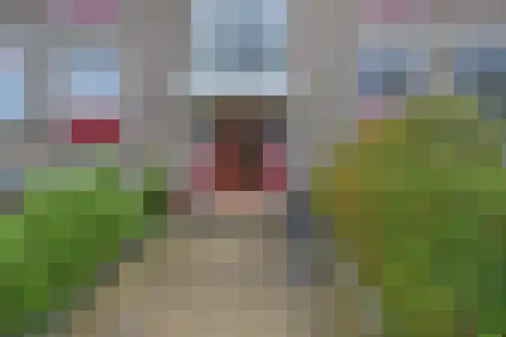 Paulinastraat 54 Den Haag thumbnail 5