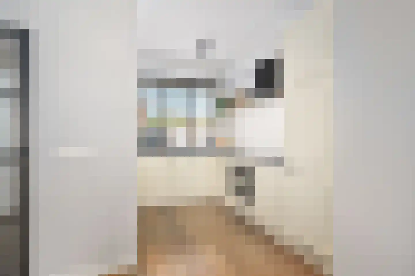 Paulinastraat 60 Sint-Oedenrode thumbnail 10