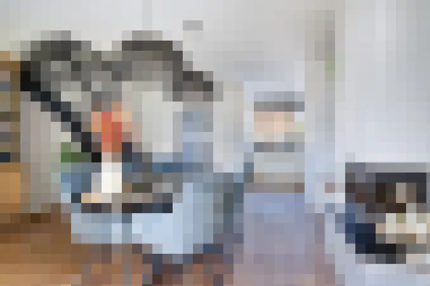 Paulinastraat 60 Sint-Oedenrode thumbnail 8