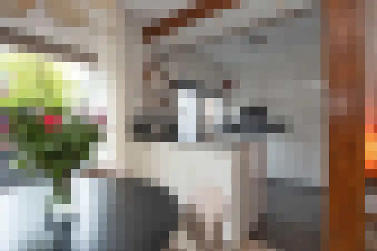 Paulinastraat 67 Hengelo thumbnail 11