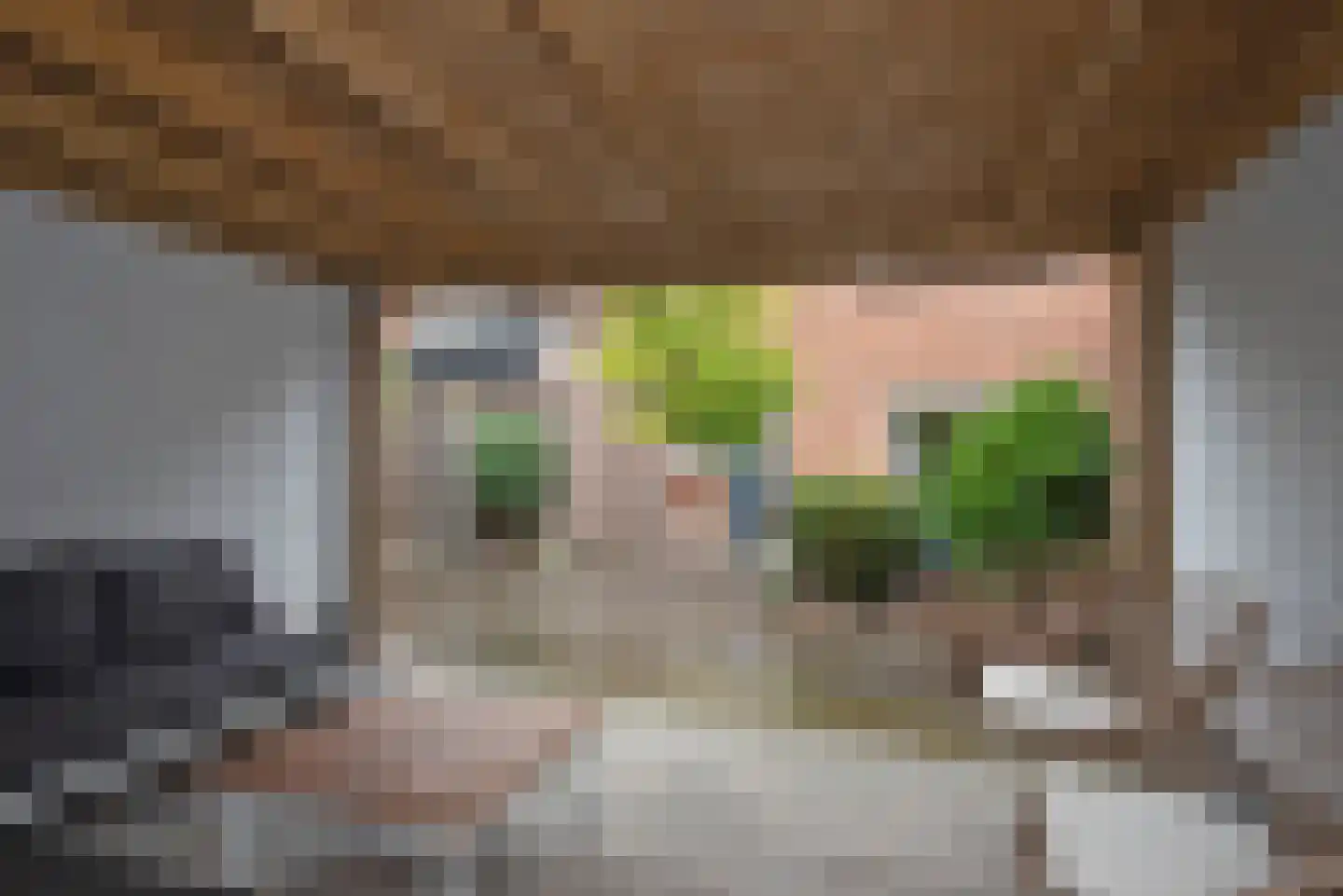Paulinastraat 67 Hengelo thumbnail 27