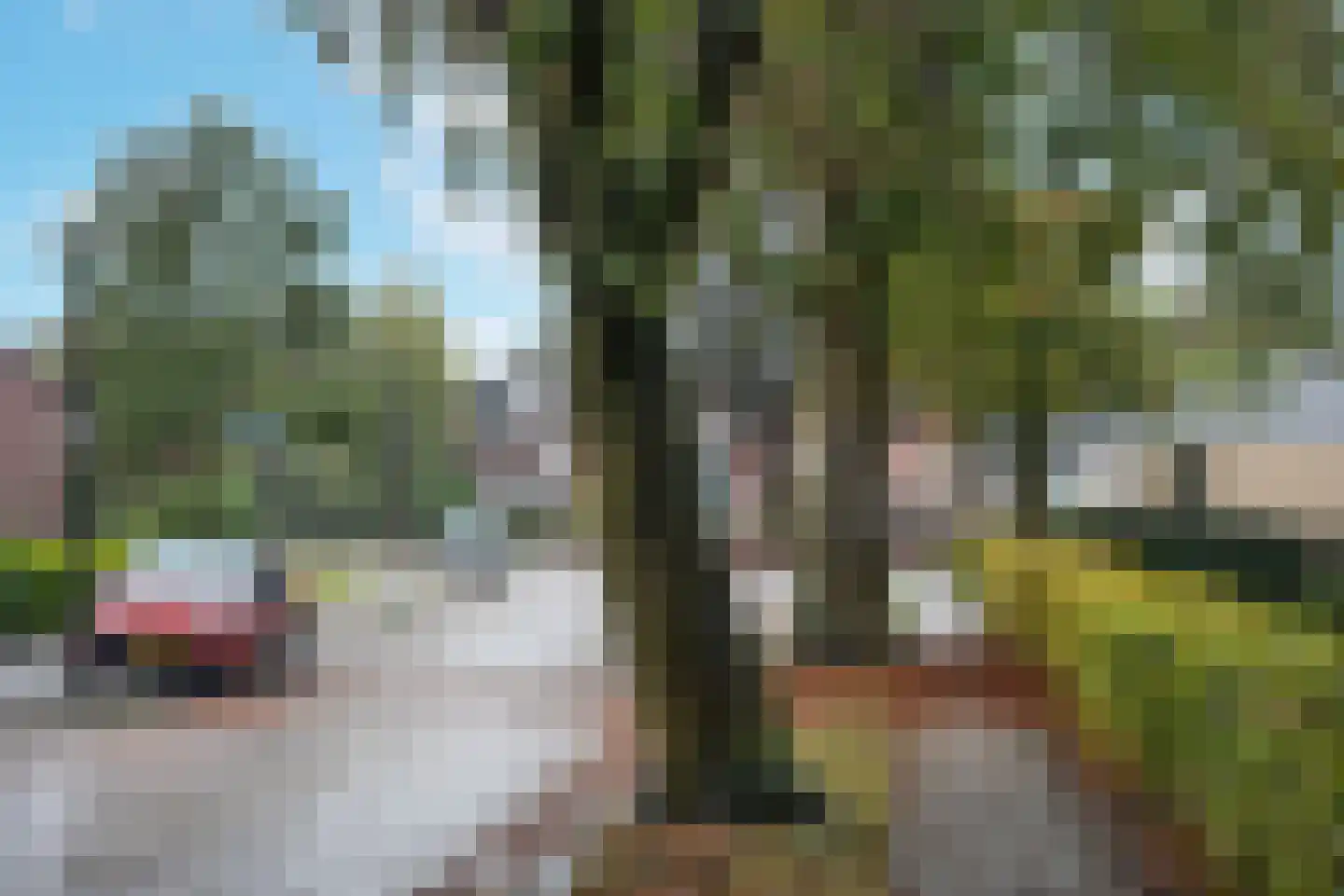 Paulinastraat 67 Hengelo thumbnail 31