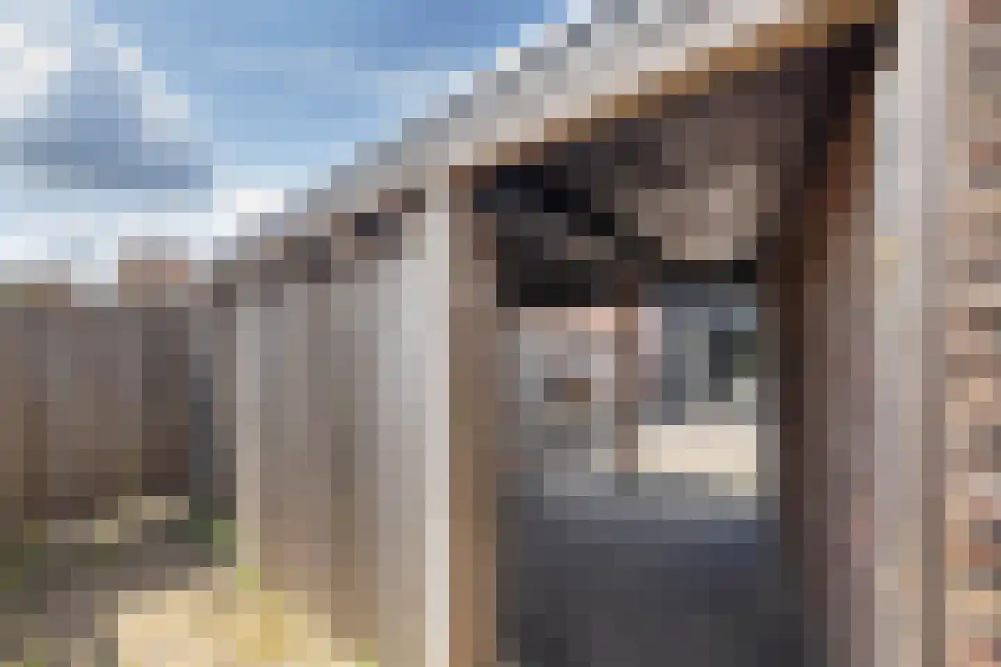 Paulinastraat 69 Hengelo thumbnail 28