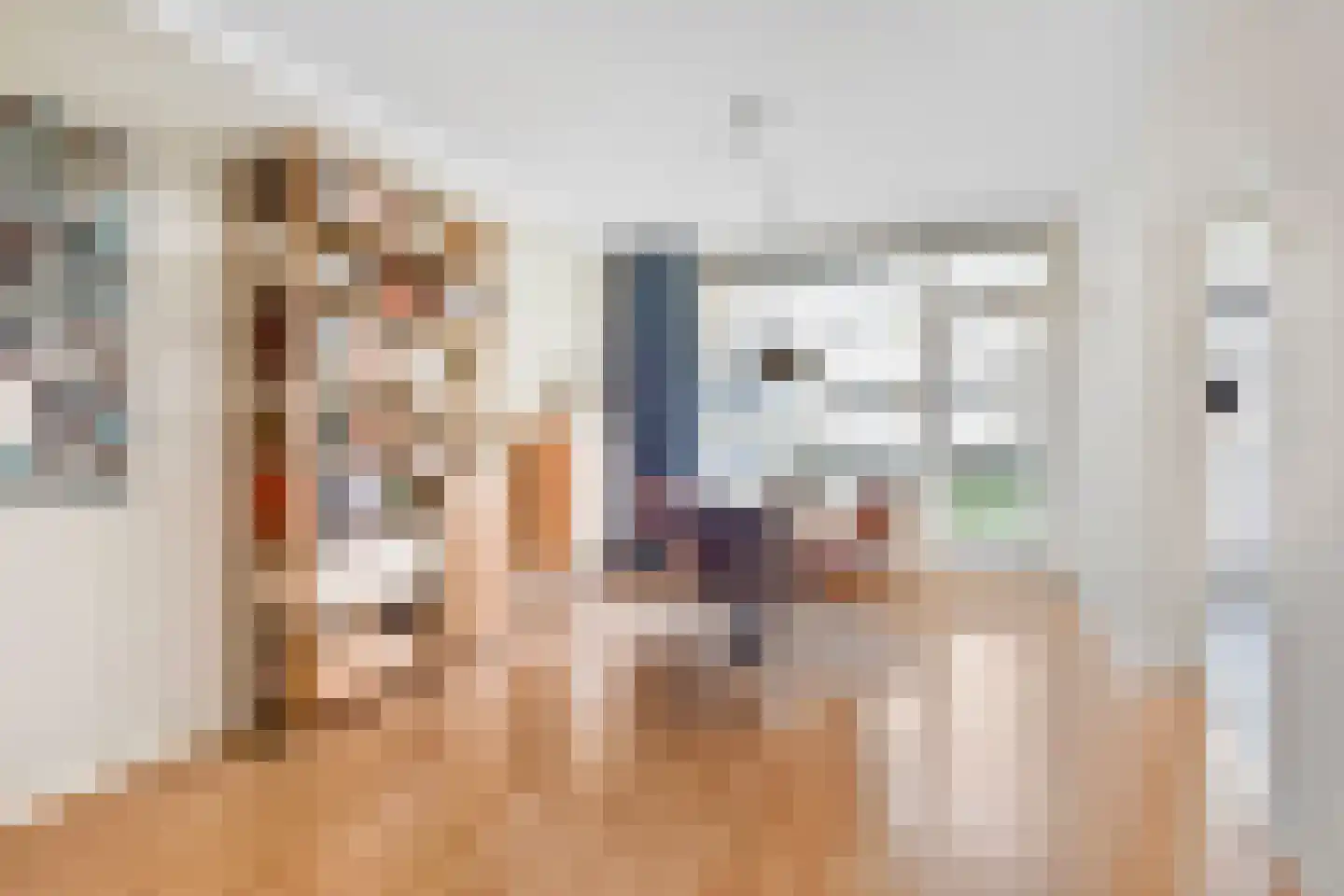 Paulinastraat 75 Den Haag thumbnail 15