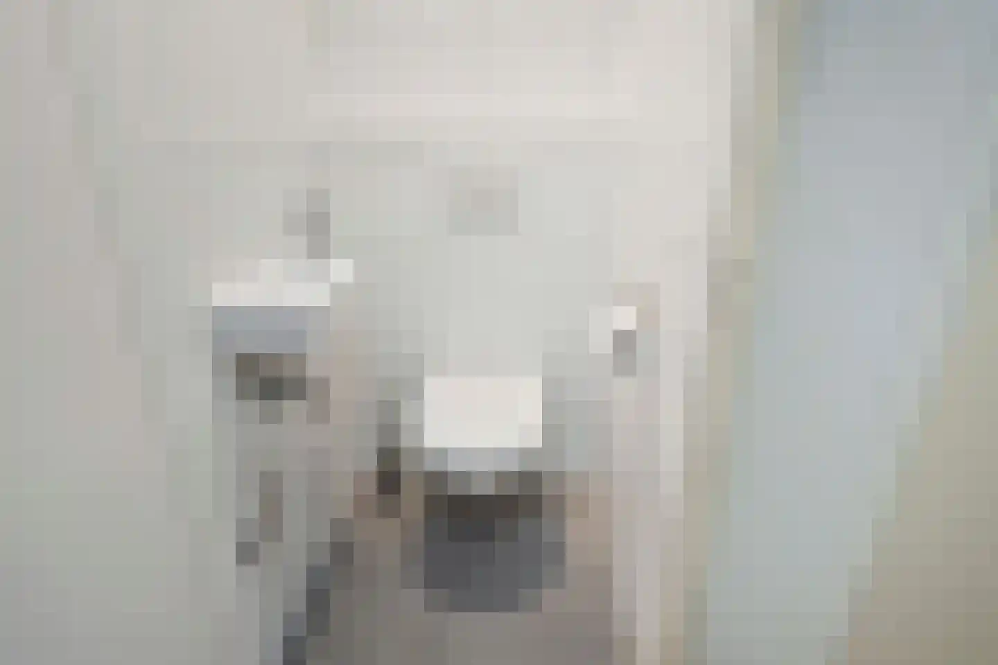 Paulinastraat 75 Den Haag thumbnail 8