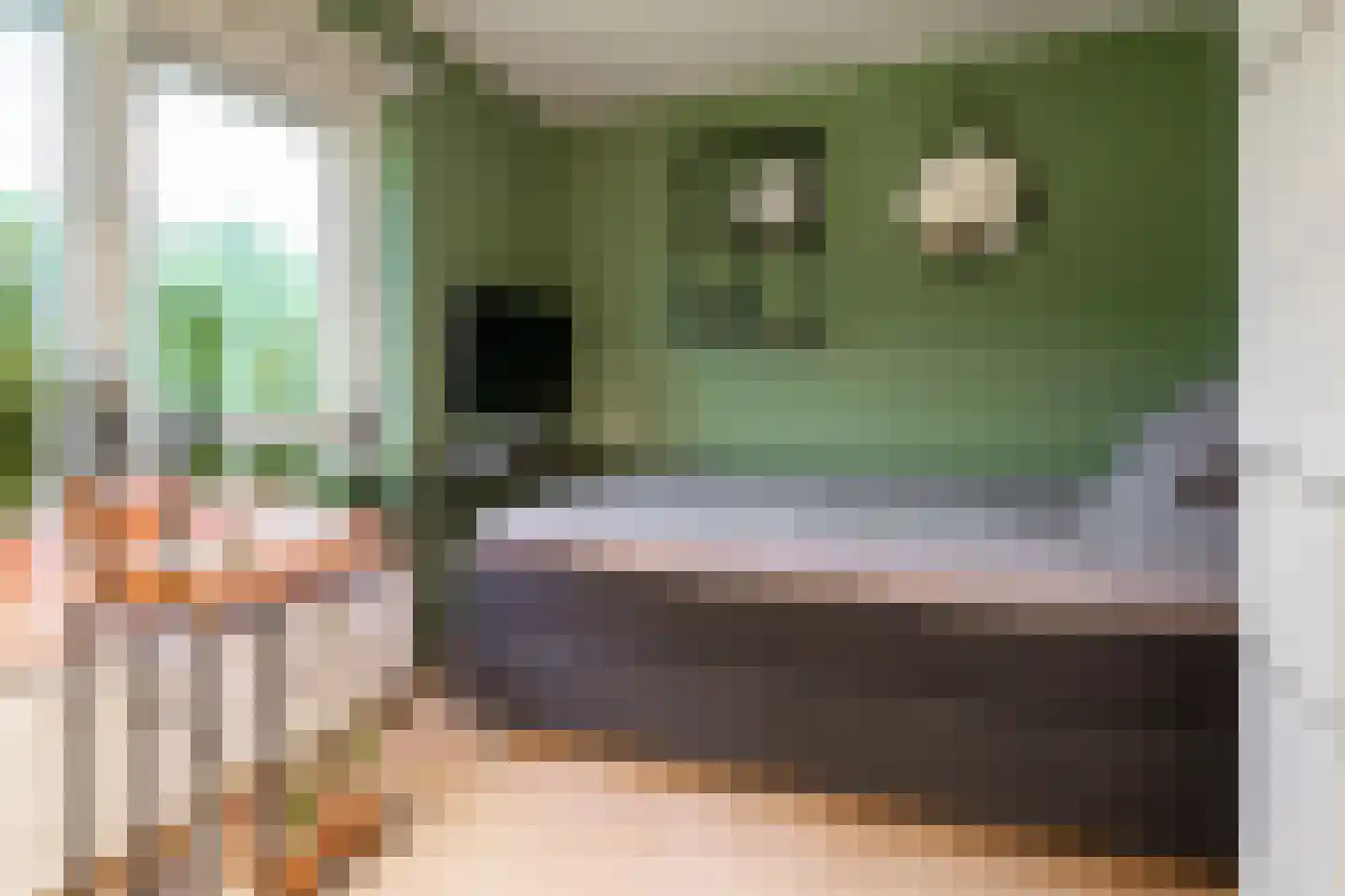 Paulinastraat 79 Hengelo thumbnail 20