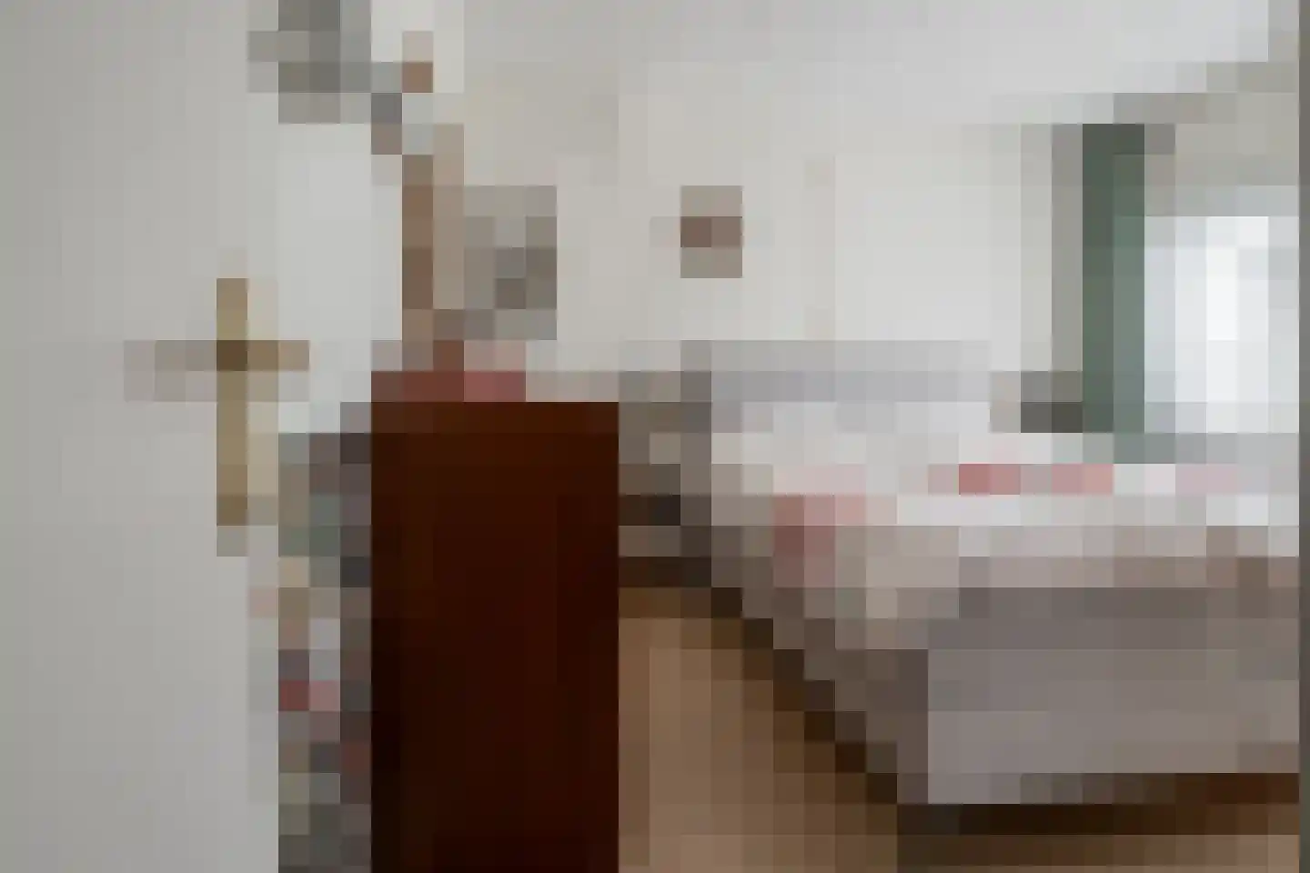 Paulinastraat 79 Hengelo thumbnail 22