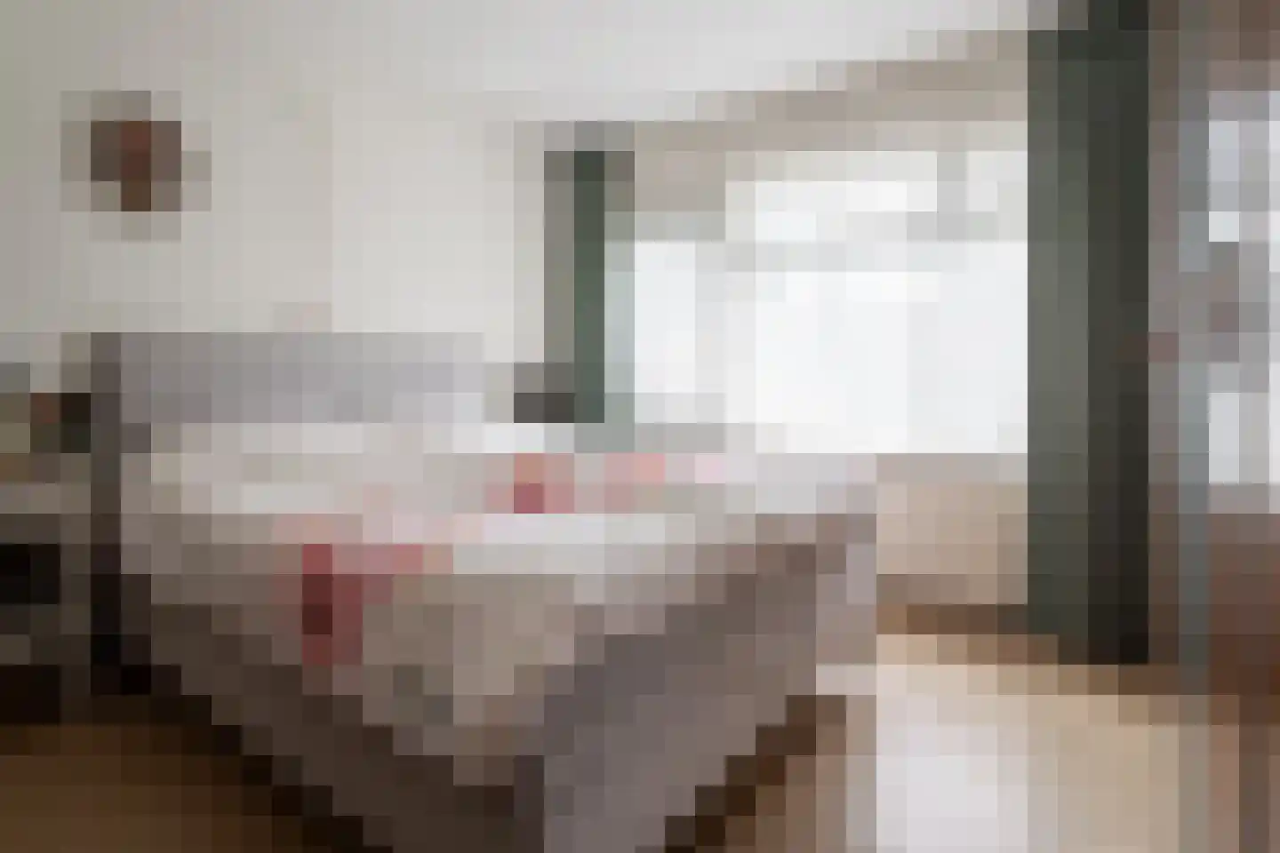 Paulinastraat 79 Hengelo thumbnail 23