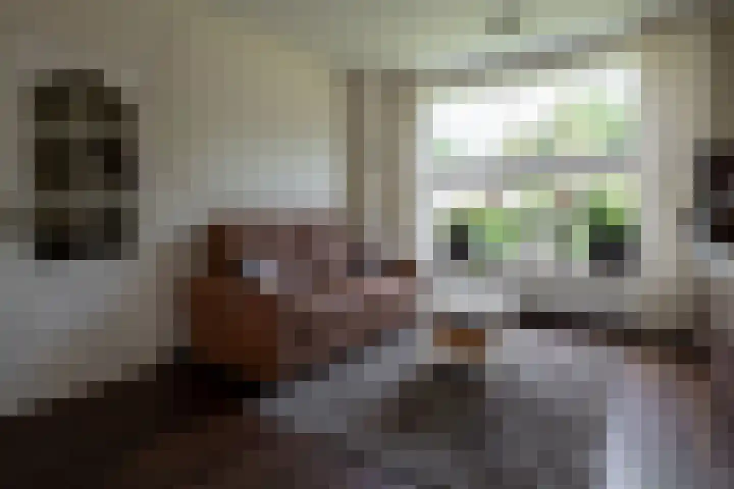 Paulinastraat 79 Hengelo thumbnail 9