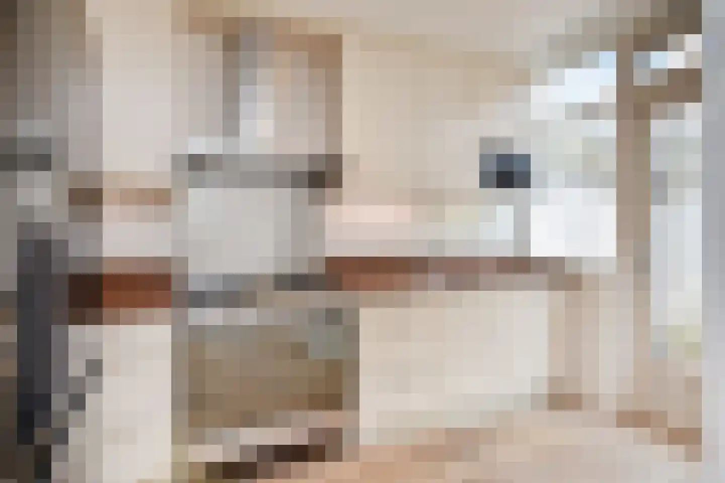 Paulinastraat 8 Den Haag thumbnail 11
