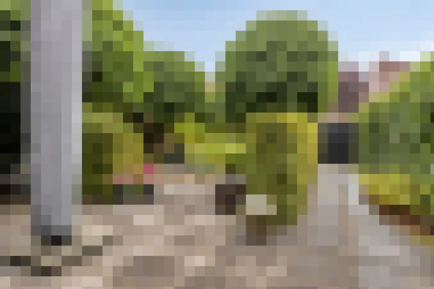 Pauline de Haan erf 6 Heerhugowaard thumbnail 33