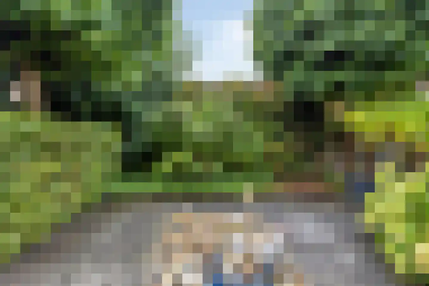 Pauline de Haan erf 6 Heerhugowaard thumbnail 35