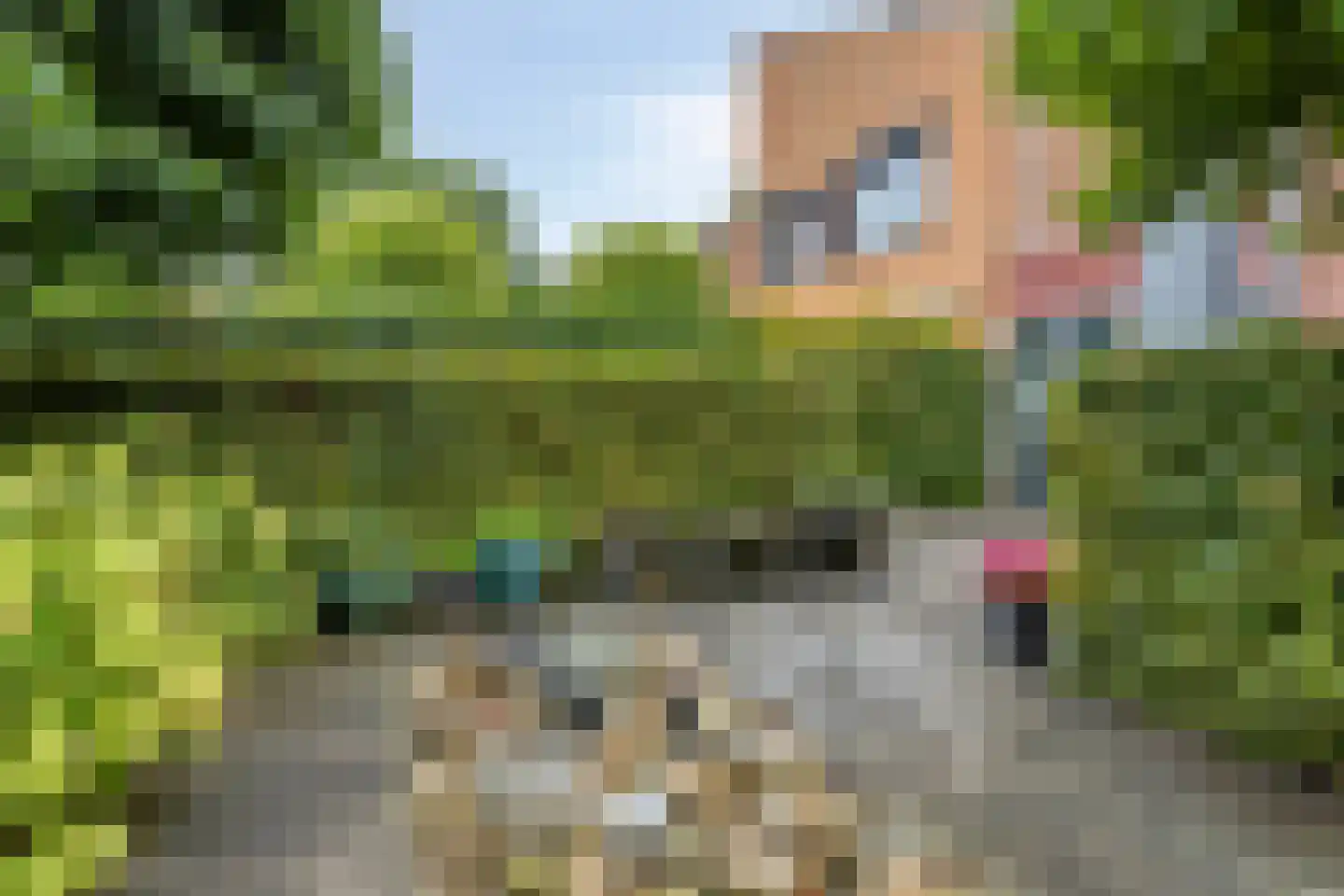 Pauline de Haan erf 6 Heerhugowaard thumbnail 36