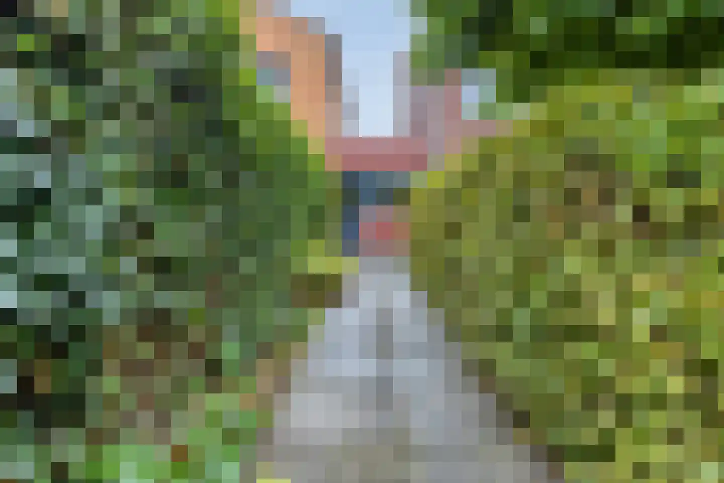Pauline de Haan erf 6 Heerhugowaard thumbnail 37