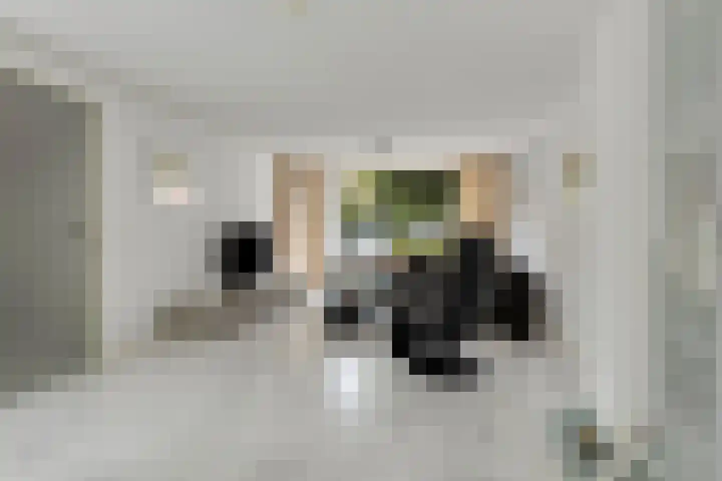 Pauline de Haan erf 6 Heerhugowaard thumbnail 4