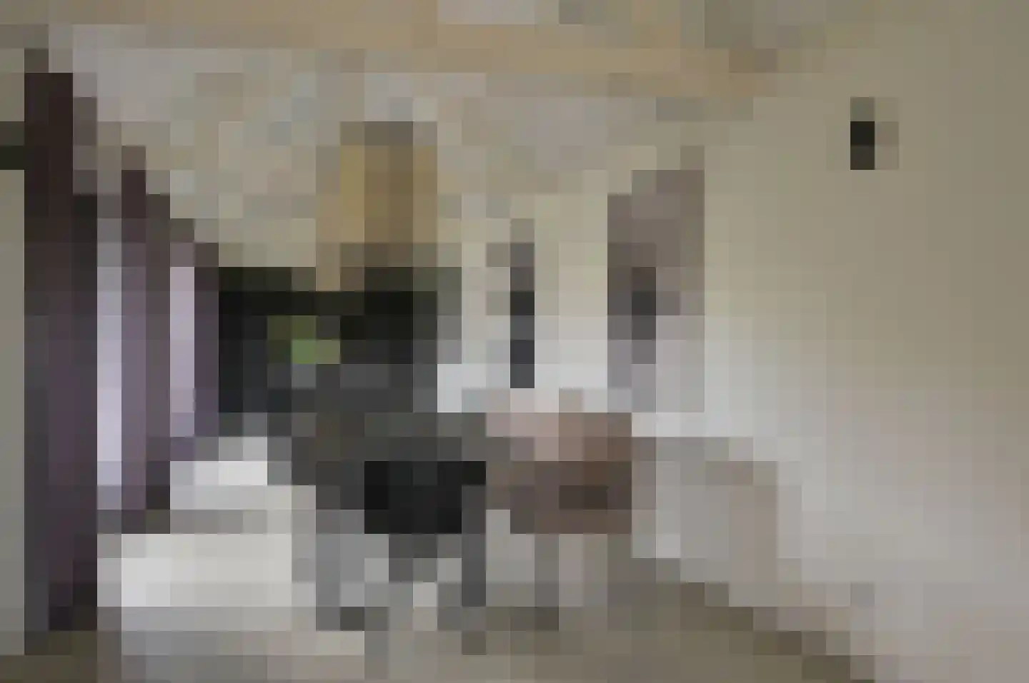 Paulinelaan 7 Muiderberg thumbnail 14
