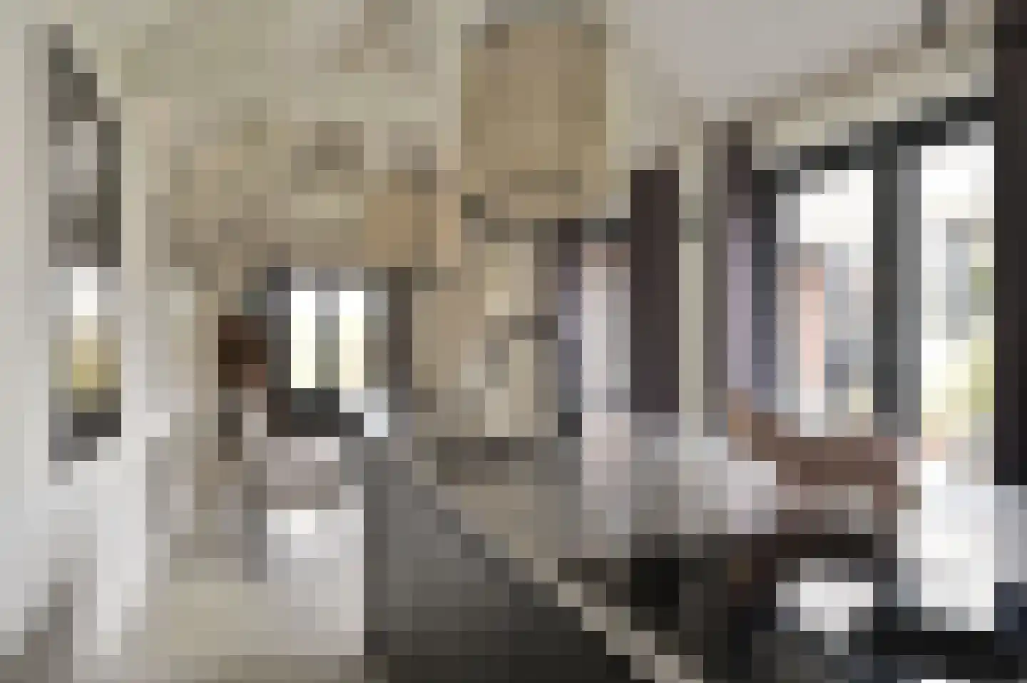 Paulinelaan 7 Muiderberg thumbnail 17
