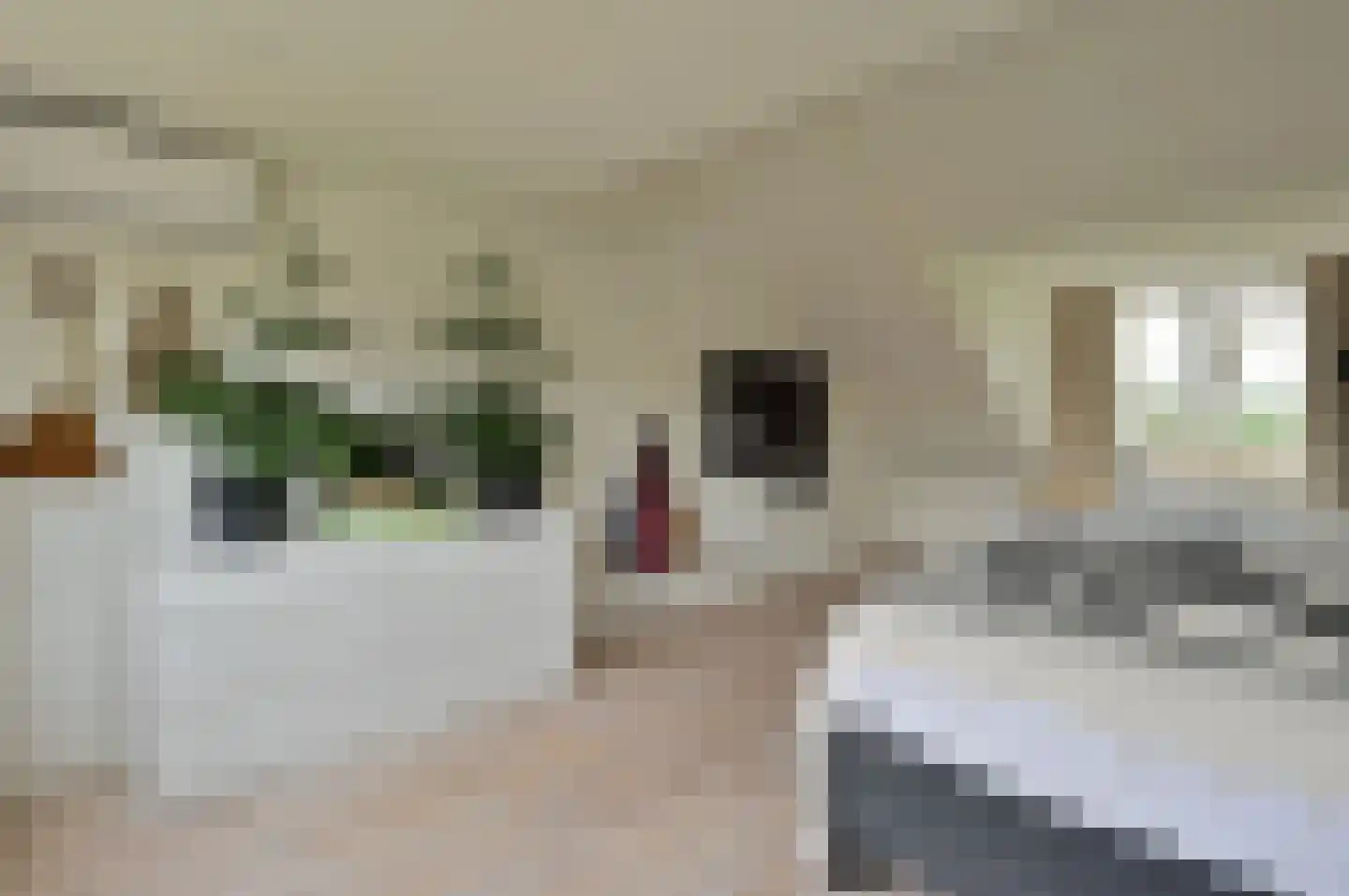 Paulinelaan 7 Muiderberg thumbnail 30