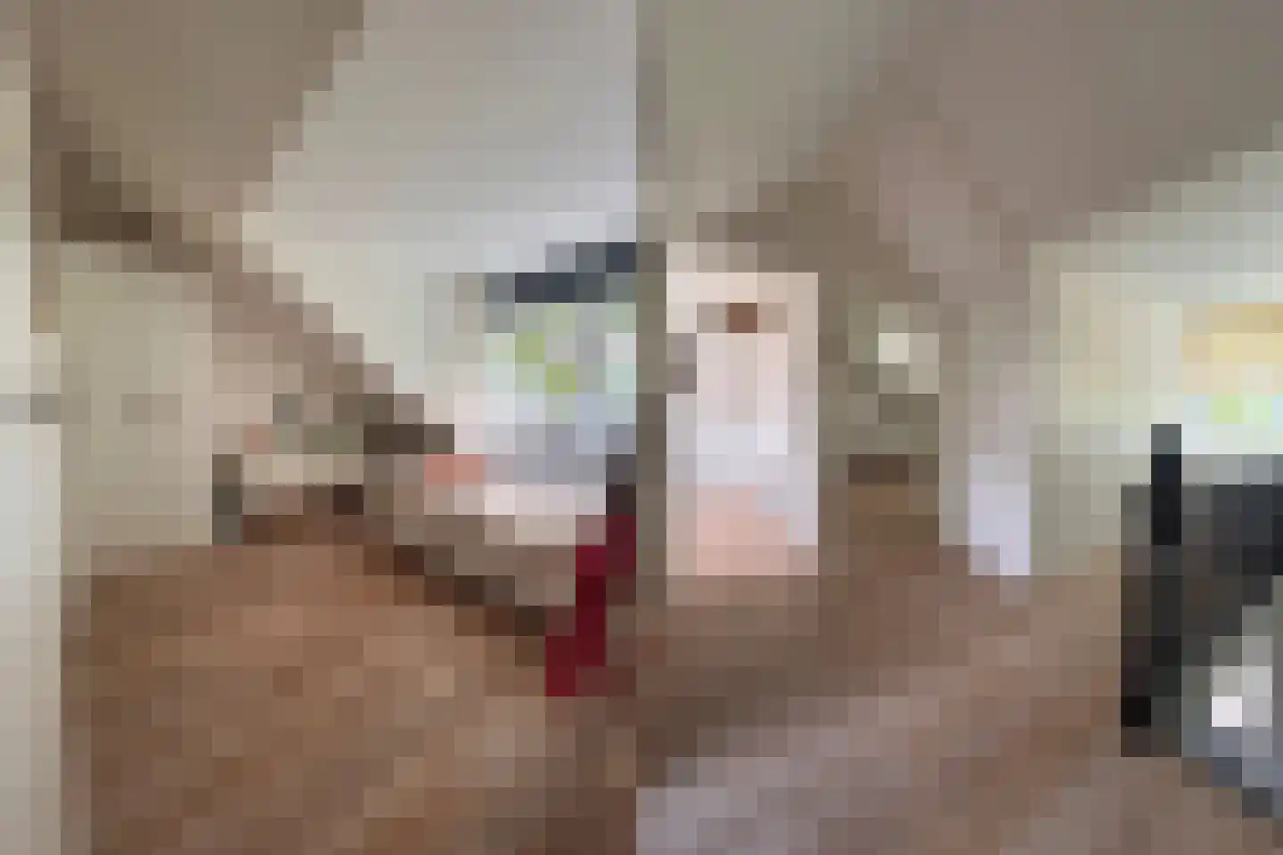 Paulinelaan 7 Muiderberg thumbnail 31