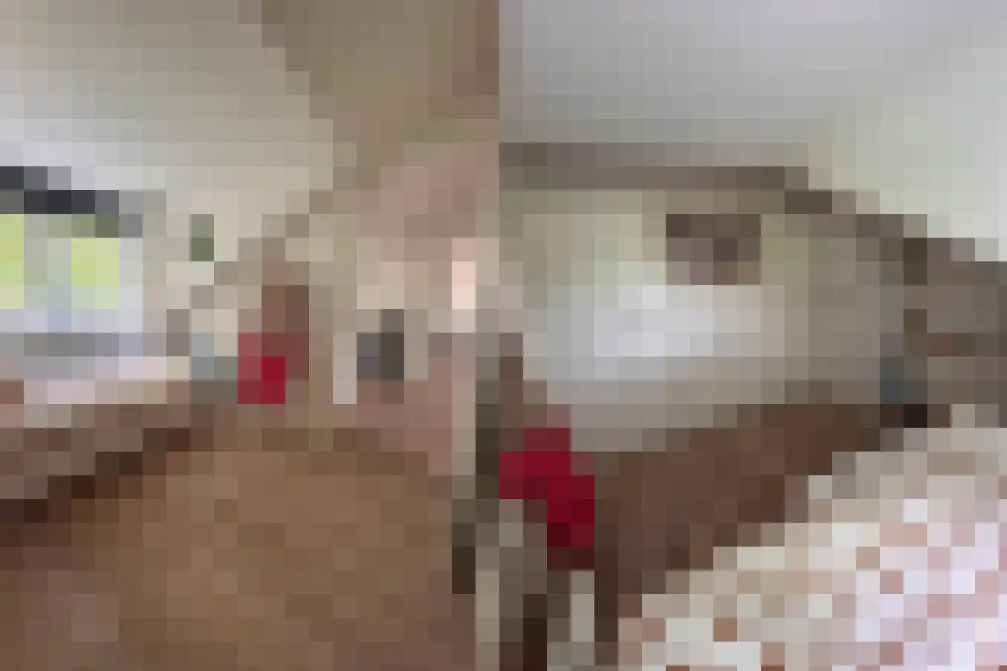 Paulinelaan 7 Muiderberg thumbnail 32
