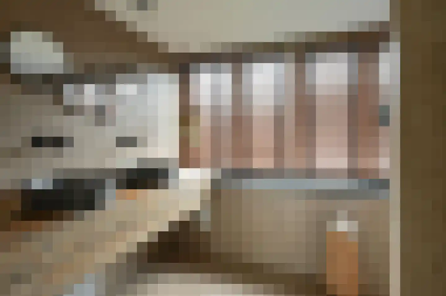 Paulinelaan 7 Muiderberg thumbnail 34