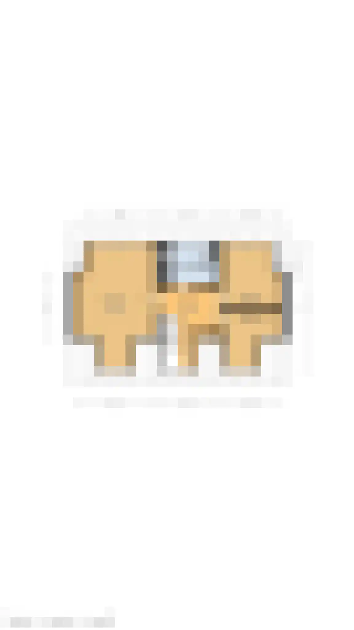 Paulinelaan 7 Muiderberg thumbnail 41