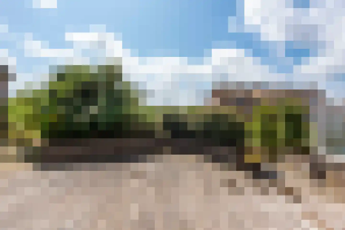 Paulineweg 4 Bergen aan Zee thumbnail 25