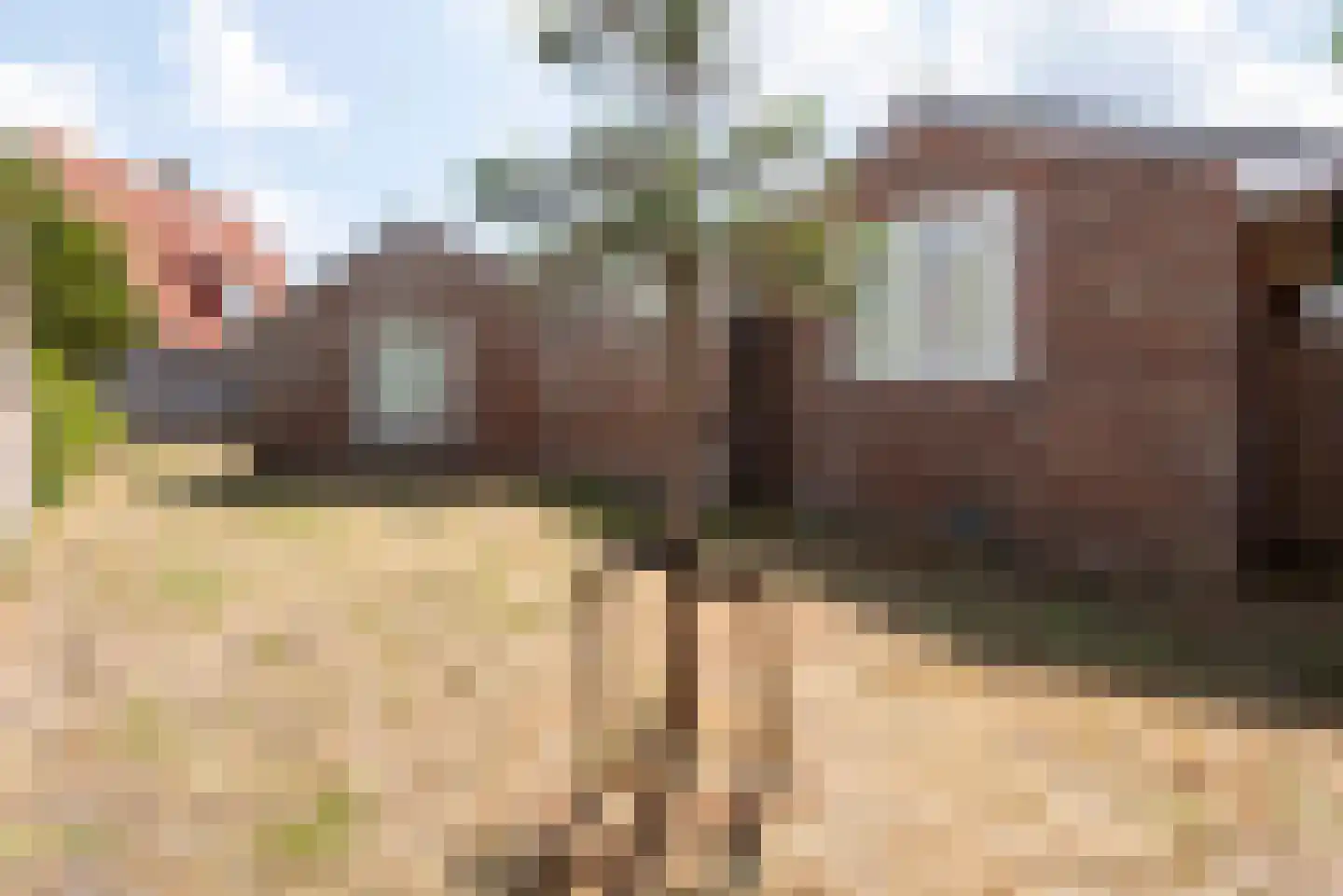 Paulineweg 4 Bergen aan Zee thumbnail 31