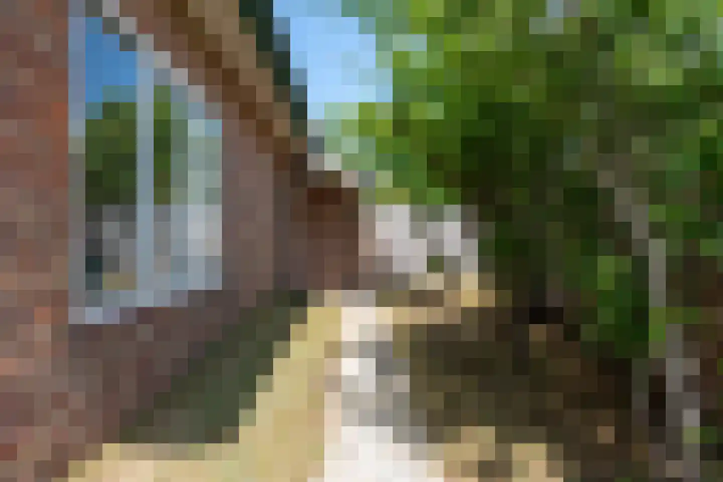 Paulineweg 4 Bergen aan Zee thumbnail 5