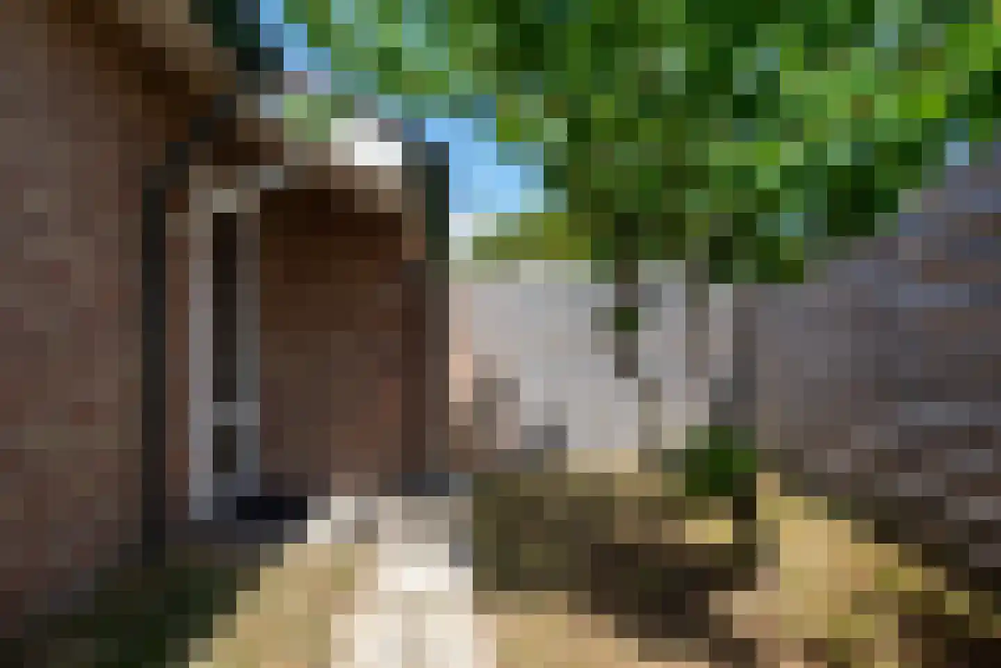 Paulineweg 4 Bergen aan Zee thumbnail 6
