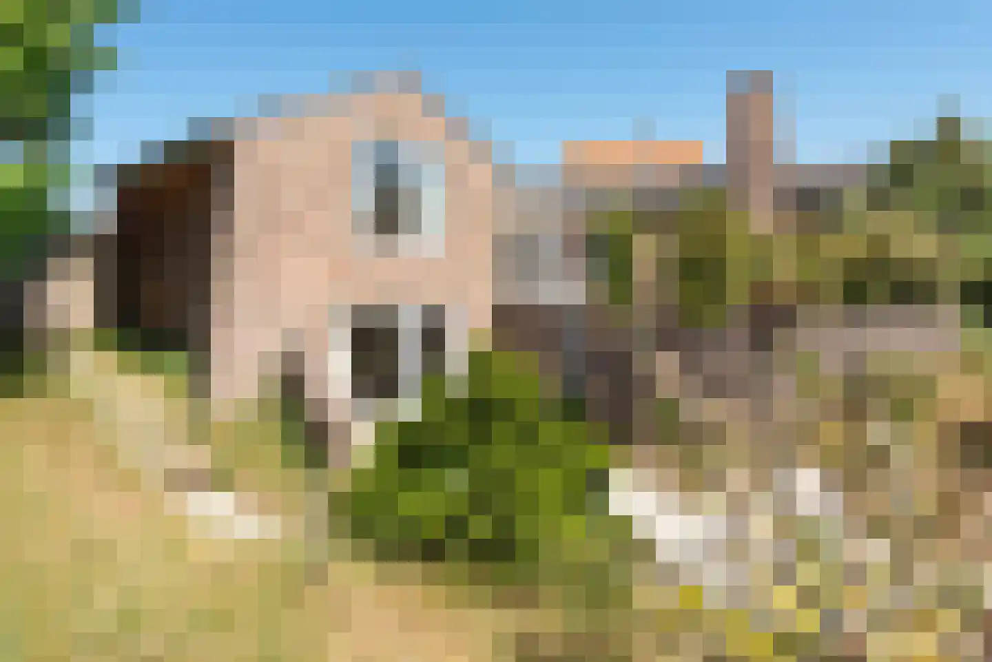 Paulineweg 4 Bergen aan Zee thumbnail 7