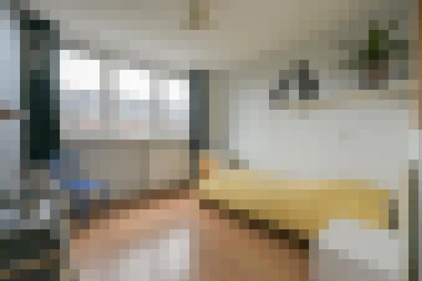 Paulistraat 28 Putten thumbnail 20