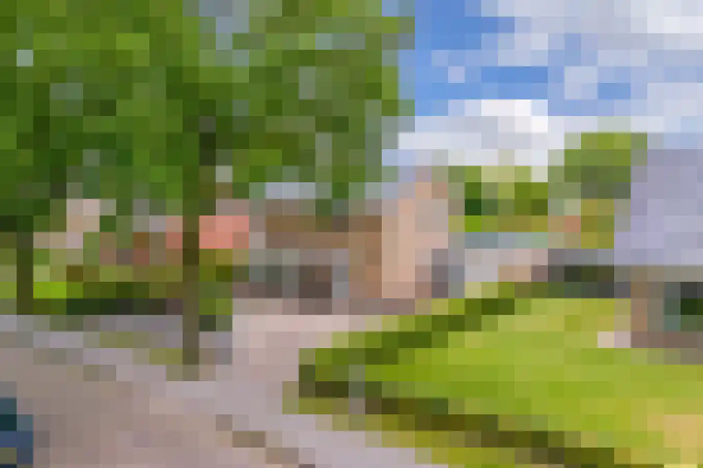 Pauloane 7 Harkema thumbnail 12