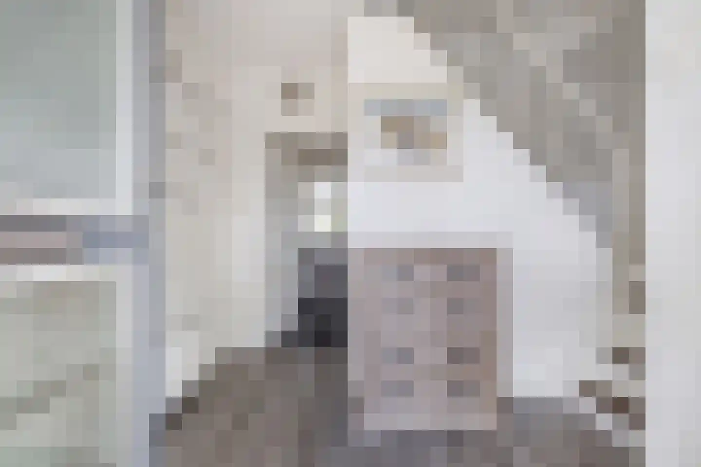 Pauloane 7 Harkema thumbnail 13