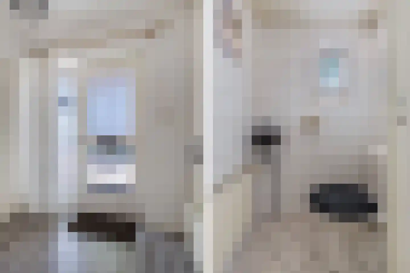 Pauloane 7 Harkema thumbnail 14