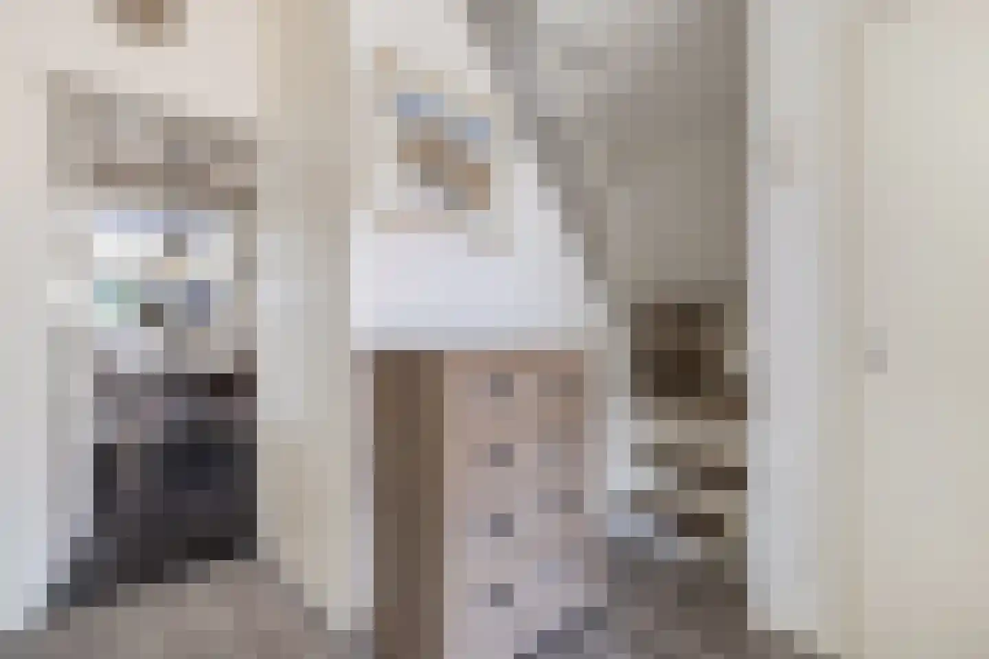 Pauloane 7 Harkema thumbnail 15
